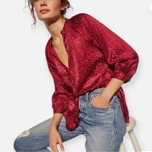 Anthropologie velvet burnout blouse